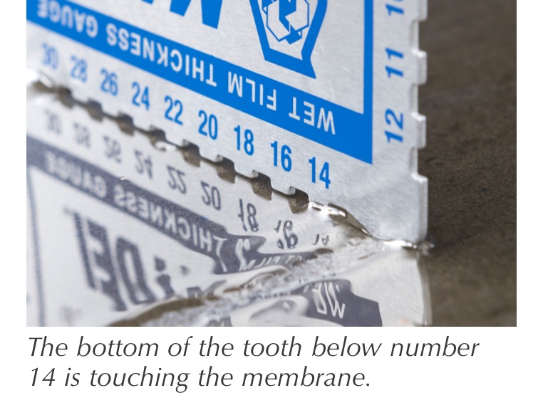 What is "Wet Film Thickness" and why should I care? TileLetter