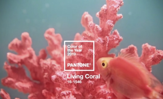 Pantone announced the 2019 color of the year as Living Coral